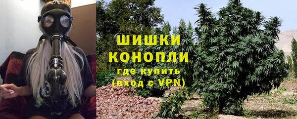 сатива Беломорск
