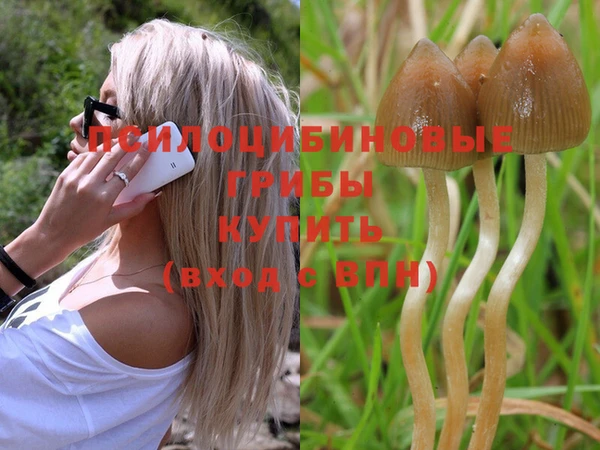 2c-b Белоозёрский