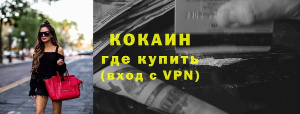 сатива Беломорск