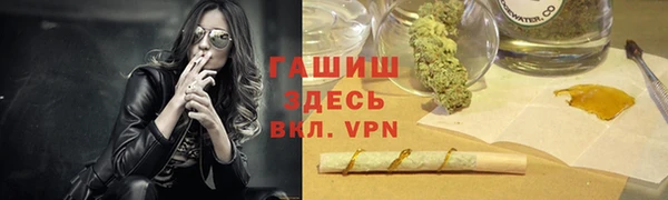 сатива Беломорск