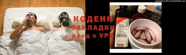 сатива Беломорск