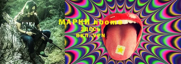 сатива Беломорск