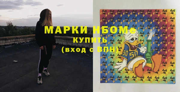 сатива Беломорск