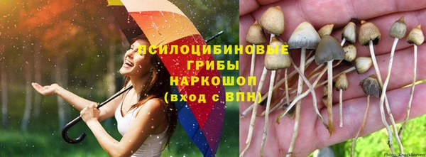 2c-b Белоозёрский