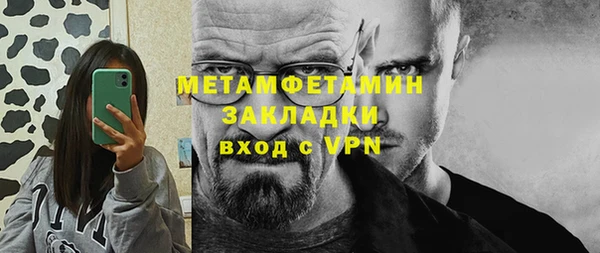 сатива Беломорск