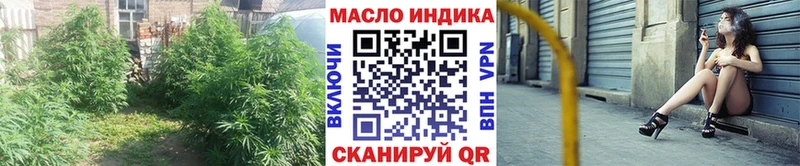hydra   Куртамыш  ТГК Wax 