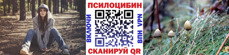 наркотики  Куртамыш  Галлюциногенные грибы GOLDEN TEACHER 