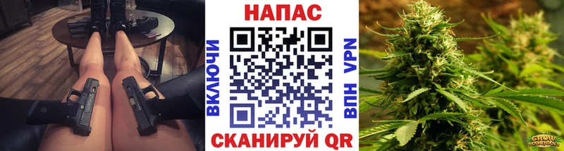 маркетплейс наркотические препараты  где купить наркоту  Куртамыш  Канабис ГИДРОПОН  blacksprut ONION 